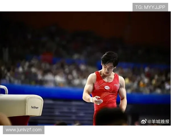 张博恒谈对体操未来的无悔信